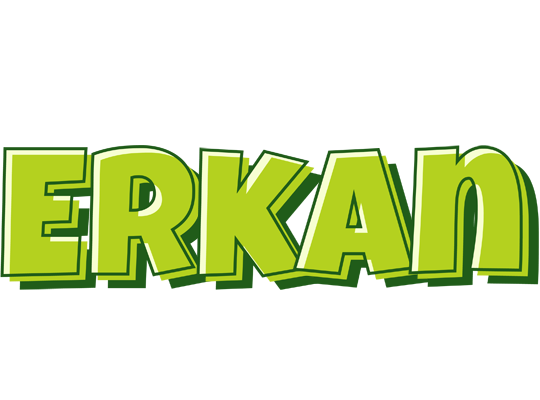 Erkan summer logo