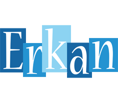 Erkan winter logo