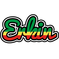 Erkin african logo