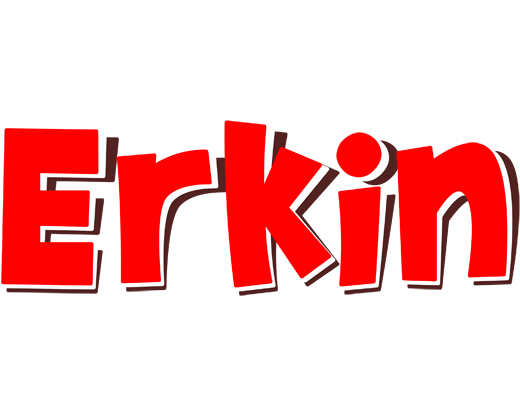 Erkin basket logo