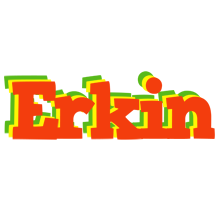 Erkin bbq logo