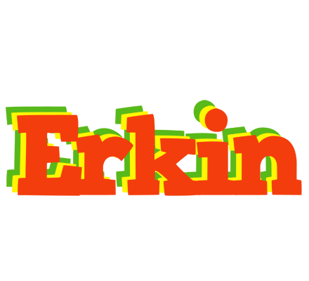 Erkin bbq logo