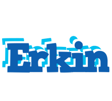 Erkin business logo