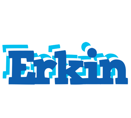 Erkin business logo