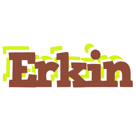 Erkin caffeebar logo