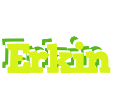 Erkin citrus logo