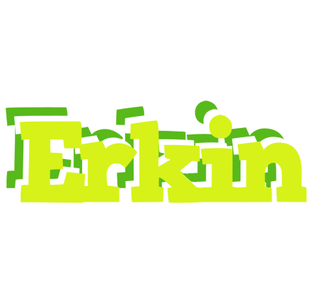 Erkin citrus logo