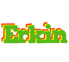 Erkin crocodile logo