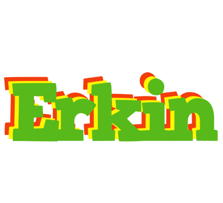 Erkin crocodile logo