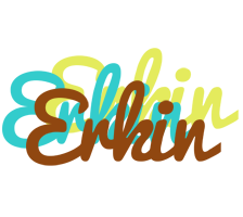 Erkin cupcake logo