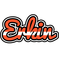 Erkin denmark logo