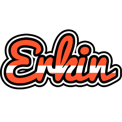 Erkin denmark logo