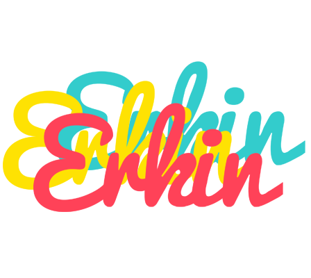 Erkin disco logo