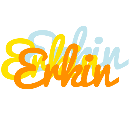 Erkin energy logo