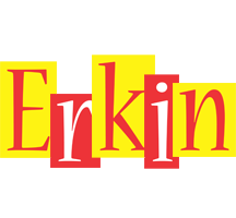 Erkin errors logo