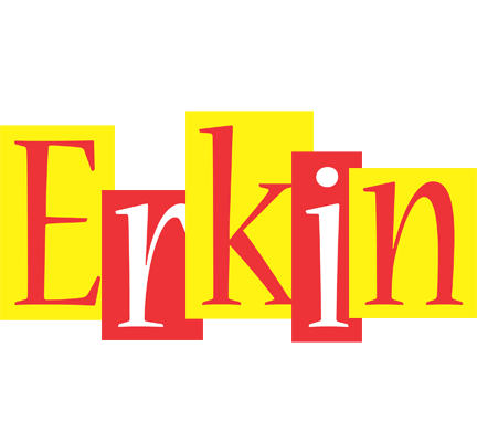 Erkin errors logo