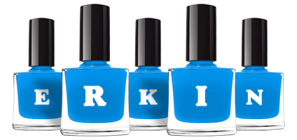 Erkin glossy logo