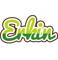 Erkin golfing logo