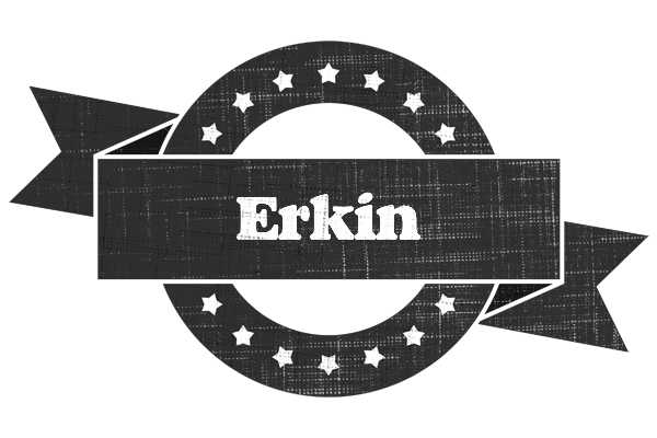 Erkin grunge logo