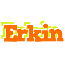 Erkin healthy logo