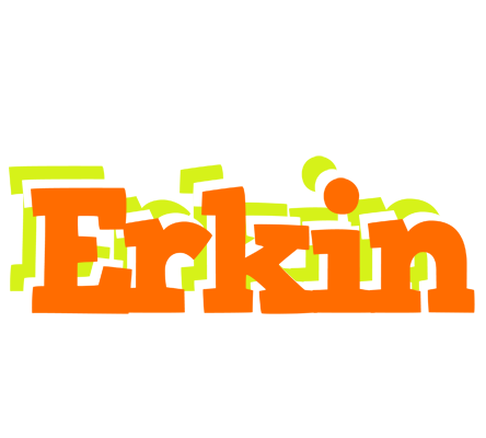 Erkin healthy logo