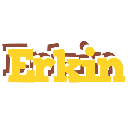 Erkin hotcup logo