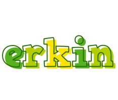 Erkin juice logo