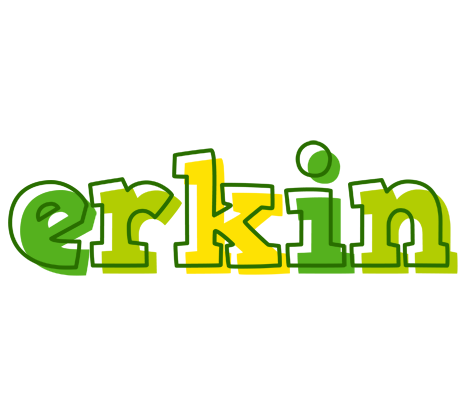 Erkin juice logo