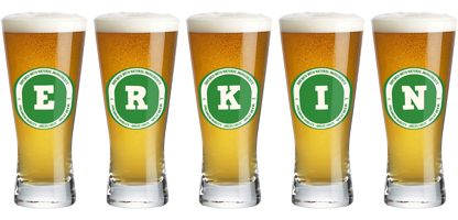 Erkin lager logo