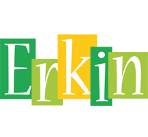 Erkin lemonade logo