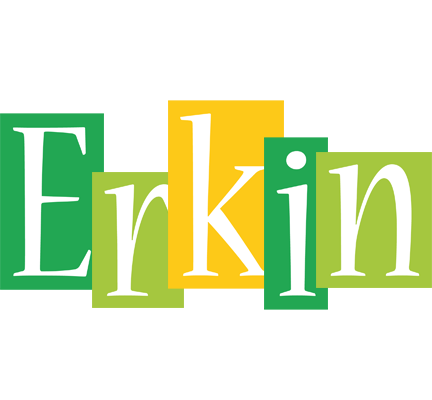 Erkin lemonade logo