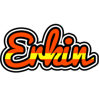 Erkin madrid logo
