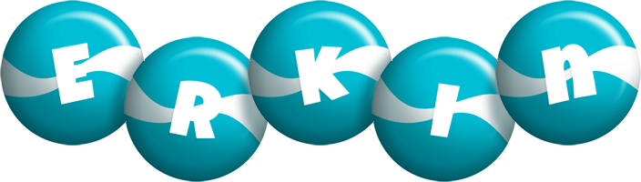 Erkin messi logo