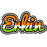 Erkin mumbai logo
