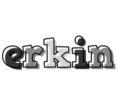 Erkin night logo