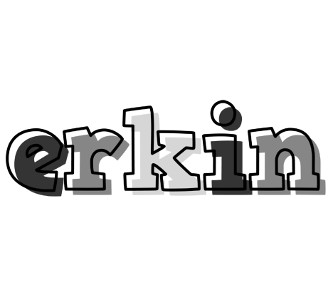 Erkin night logo