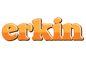 Erkin orange logo