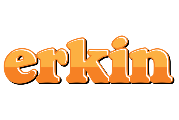 Erkin orange logo