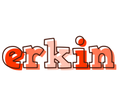 Erkin paint logo