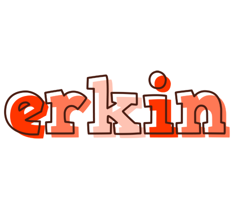 Erkin paint logo