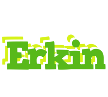 Erkin picnic logo