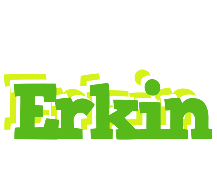 Erkin picnic logo