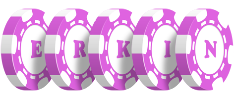 Erkin river logo