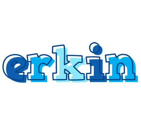 Erkin sailor logo