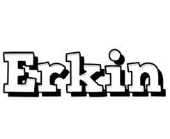 Erkin snowing logo