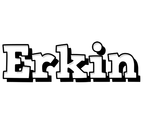 Erkin snowing logo