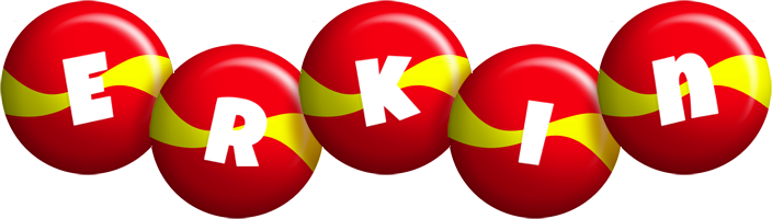 Erkin spain logo