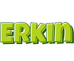 Erkin summer logo