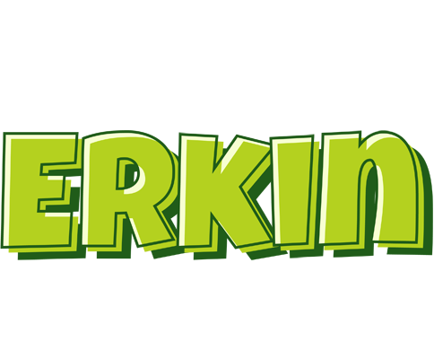 Erkin summer logo