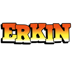 Erkin sunset logo